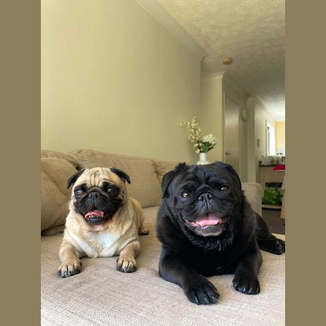 Photo of Bonnie And Clyde