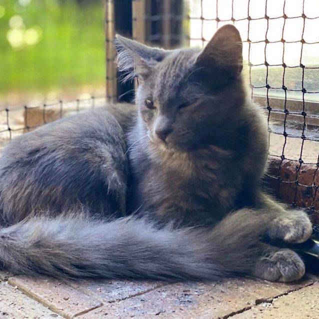 Photo of Princess
