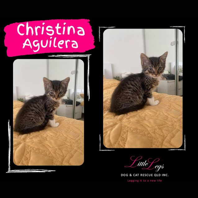 Photo of Christina Aguilera