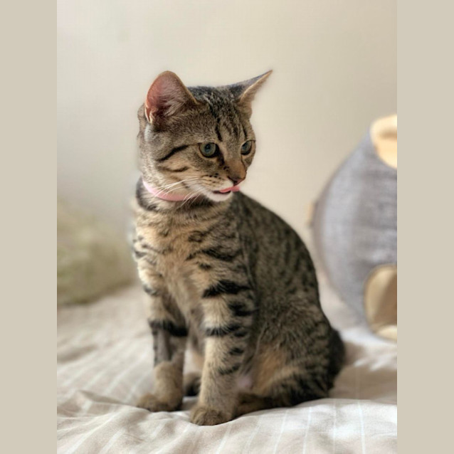 Photo of Sasha