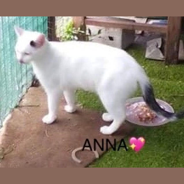 Photo of Anna
