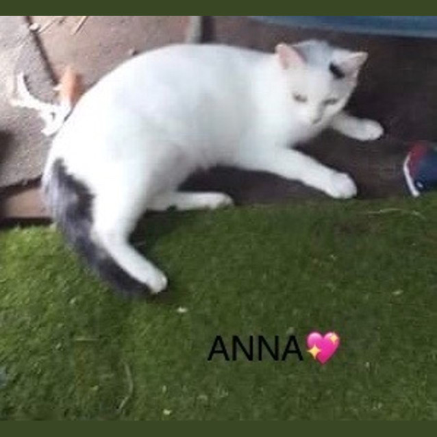 Photo of Anna