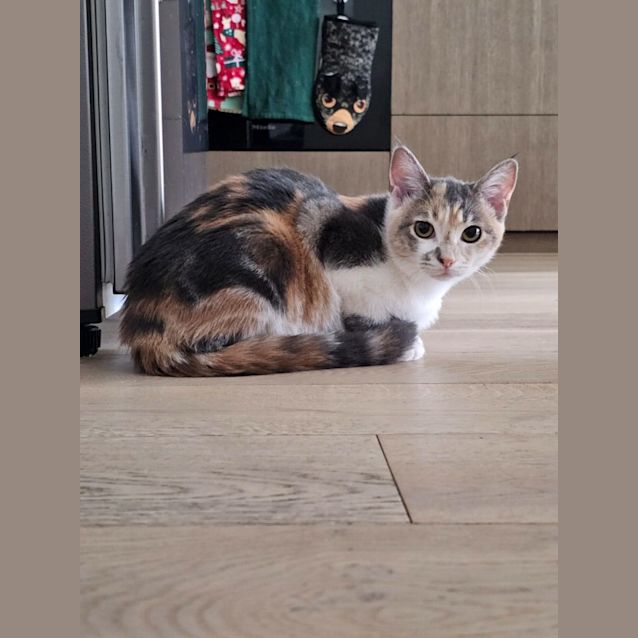 Photo of Morita