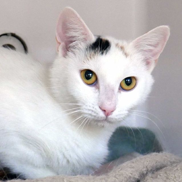 Photo of Kiri Sta010893