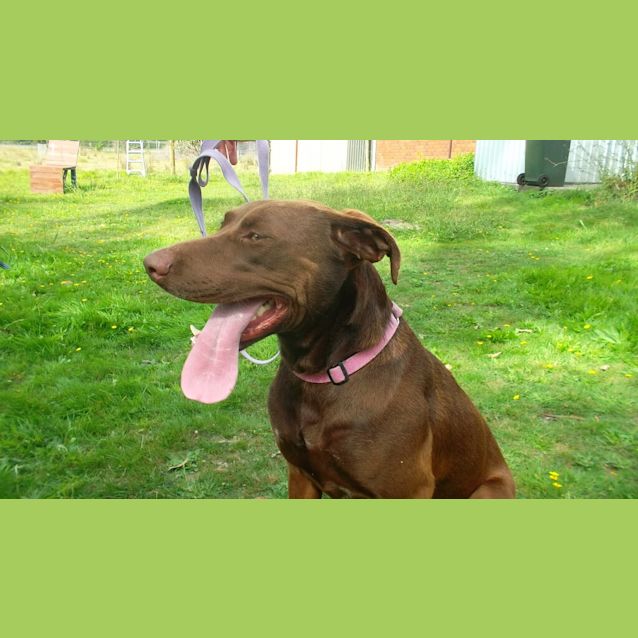 Photo of Max