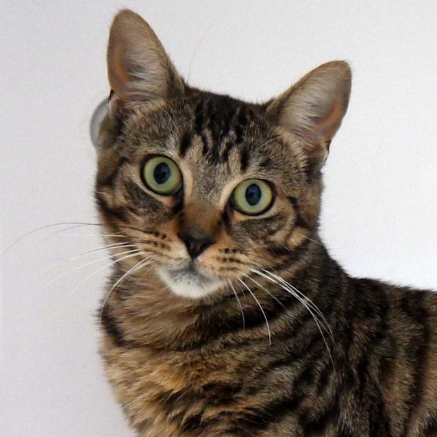 Photo of Daisy Sta010888