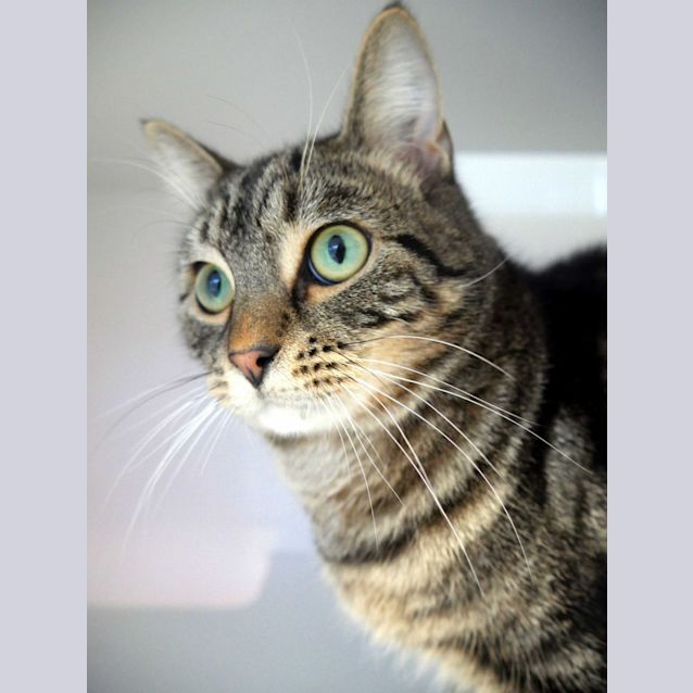 Photo of Dave Suk011004