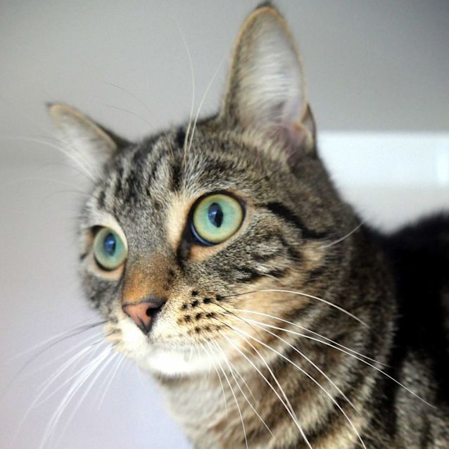 Photo of Dave Suk011004