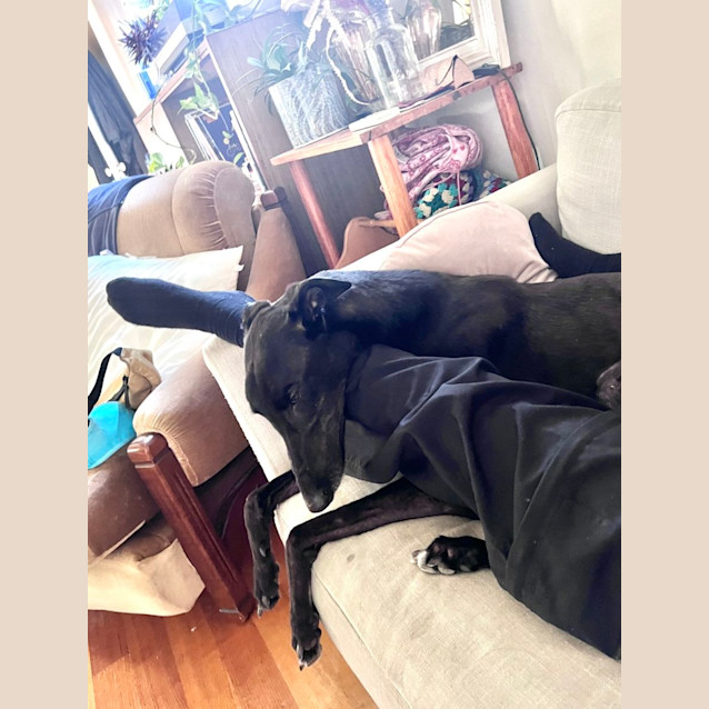 Photo of Willy