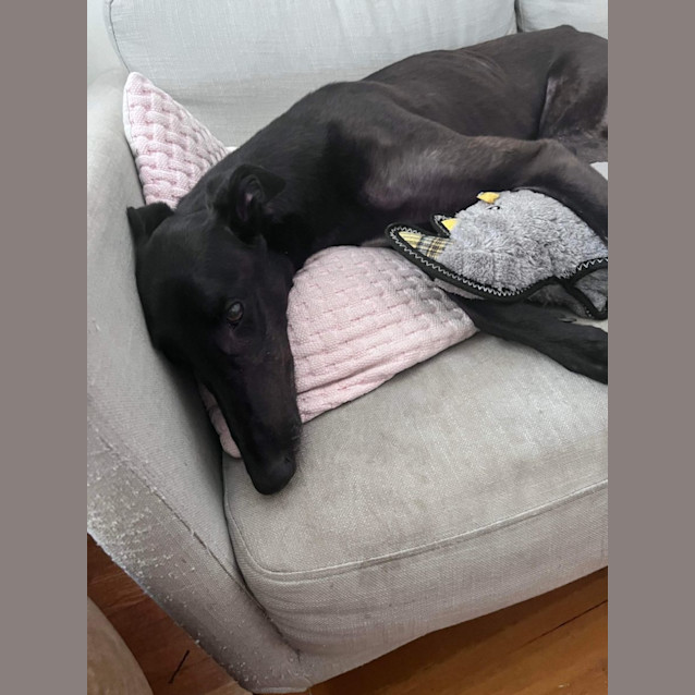 Photo of Willy
