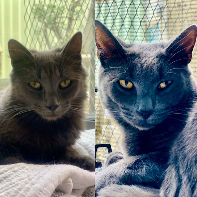 Photo of Violet & Ollie