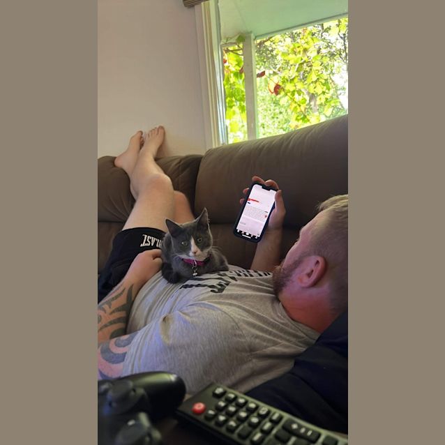 Photo of Rose ~ Adopt Me @ Petstock Hastings 19/03/23