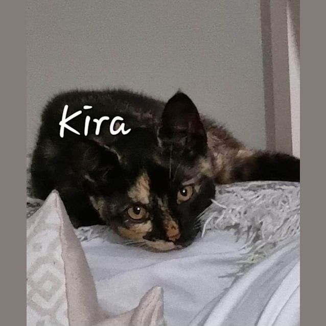 Photo of Kira