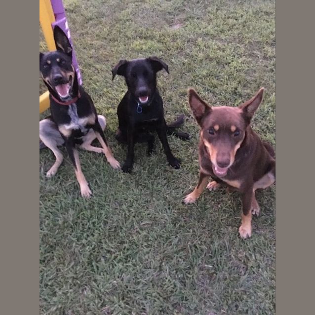 Photo of Bobby & Peggy