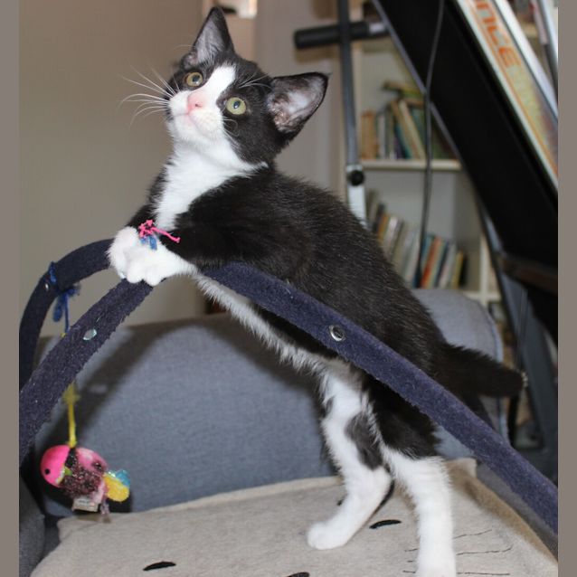 Photo of Morty