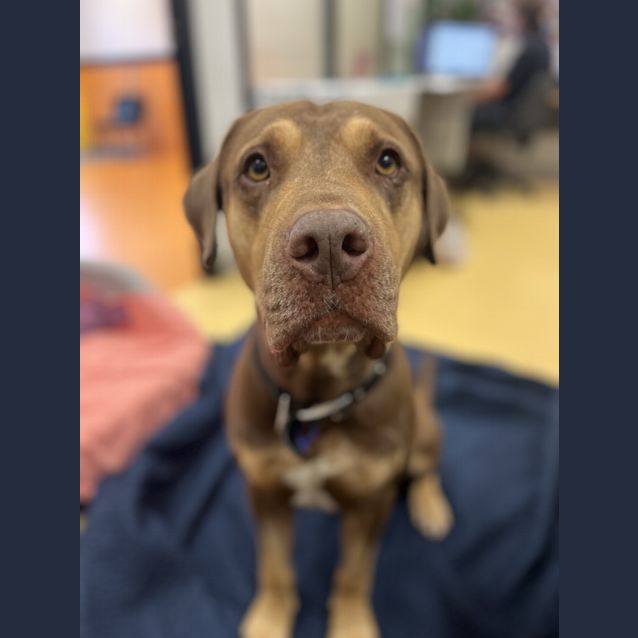 Photo of Junior