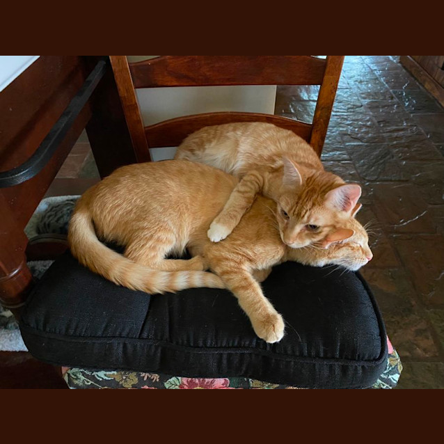 Photo of Oatis & Garfield