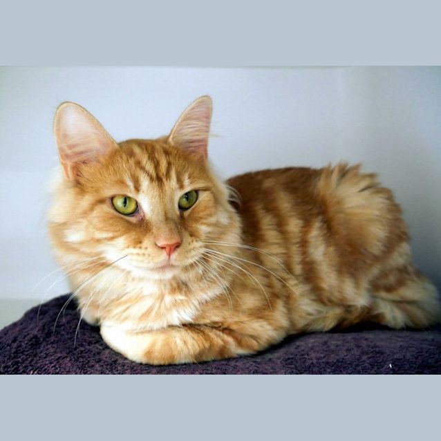 Photo of Barkley Rsua010639