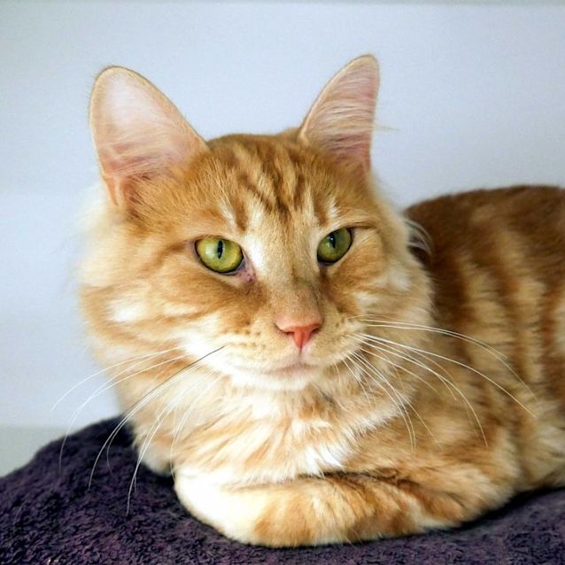 Photo of Barkley Rsua010639