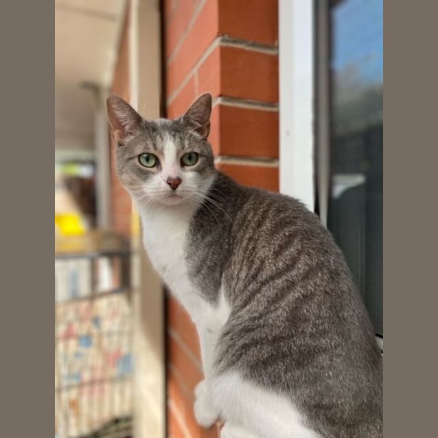 Photo of Meg
