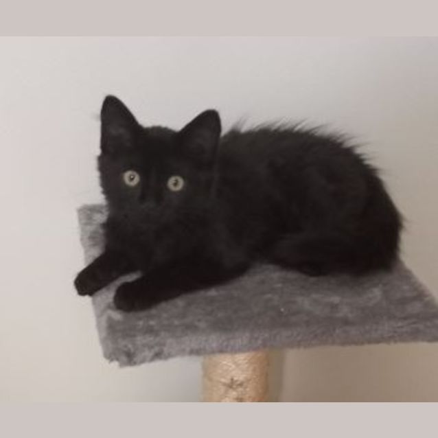 Photo of Marlo