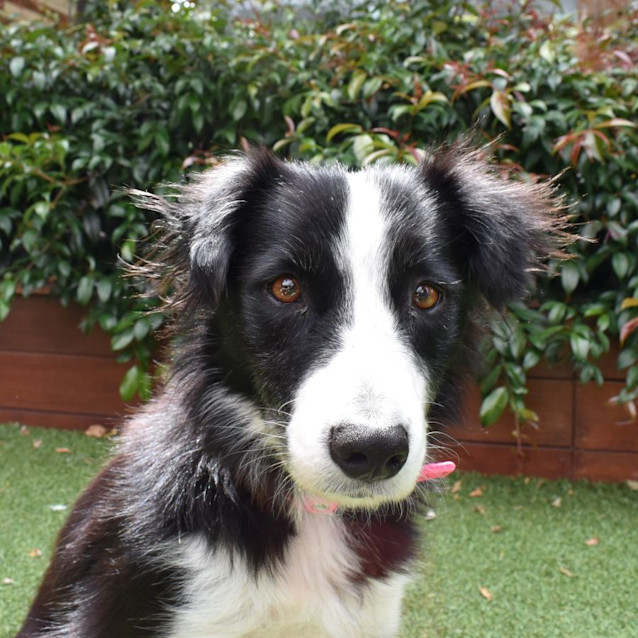 Photo of Sally