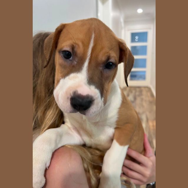 Photo of Clover