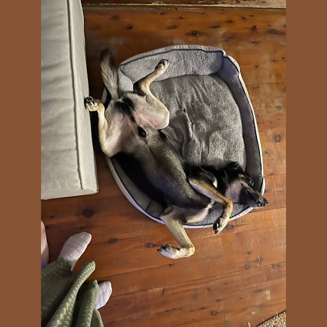 Photo of Skip