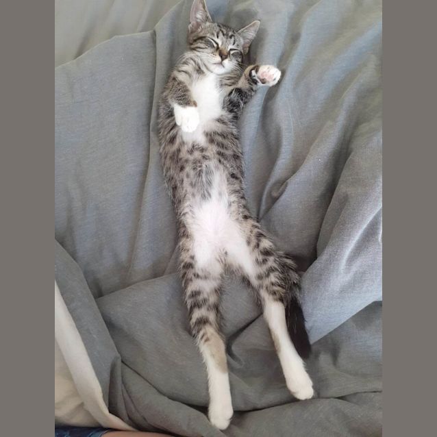 Photo of Bert And Ernie