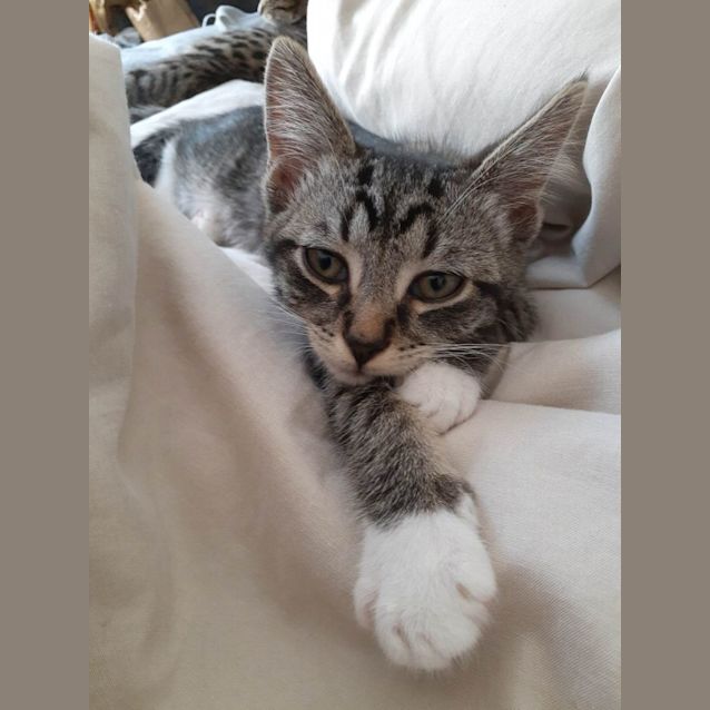 Photo of Bert And Ernie