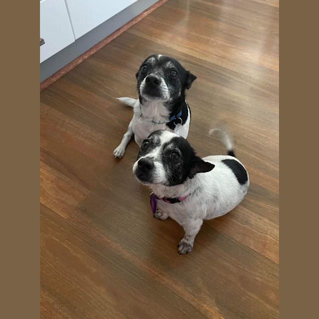 Photo of Lucy And Zane