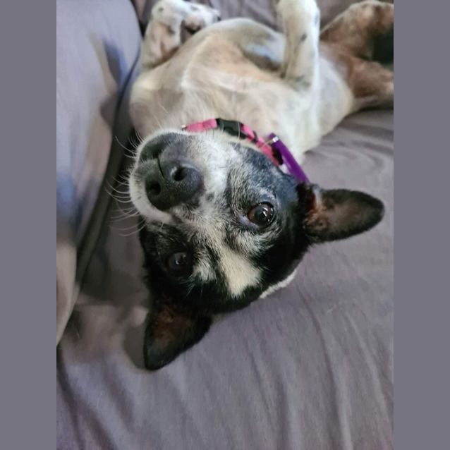 Photo of Lucy And Zane