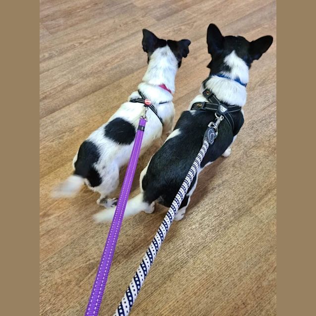 Photo of Lucy And Zane