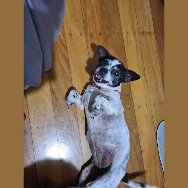 Photo of Lucy And Zane