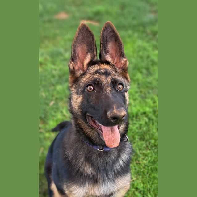 Photo of Ruby