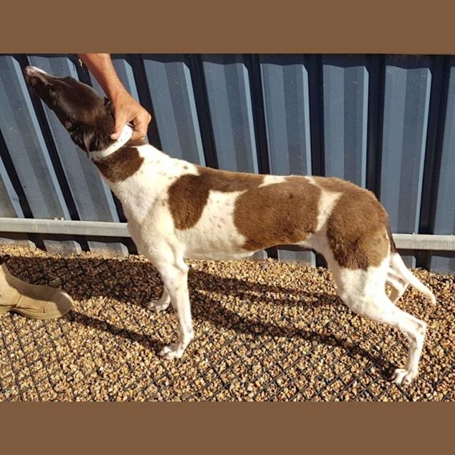 Photo of Little Miss Sunshine