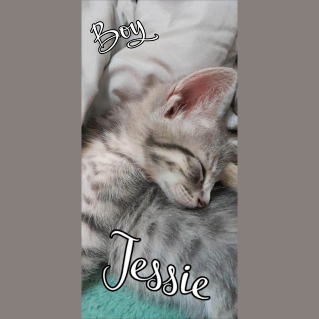 Photo of Jessie