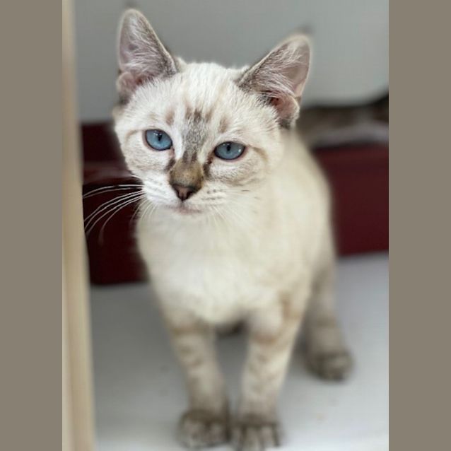 Photo of Tuna (9714)