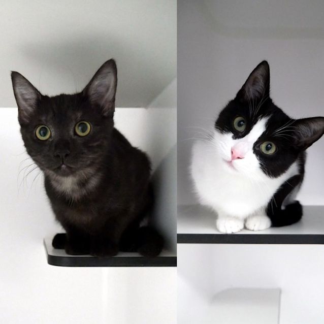 Photo of Christina & April Stk010627 Stk010628