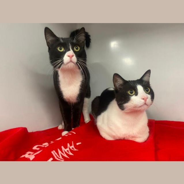 Photo of Hubba & Bubba