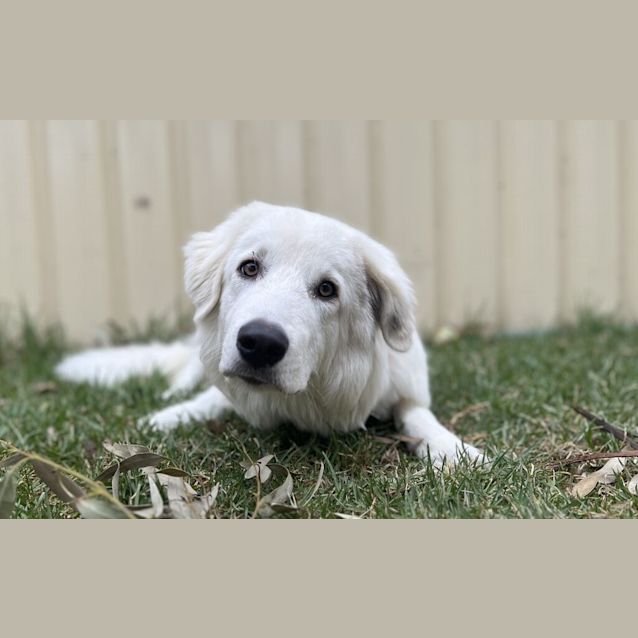 Photo of Billy