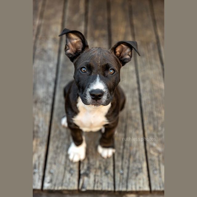 Photo of Niro