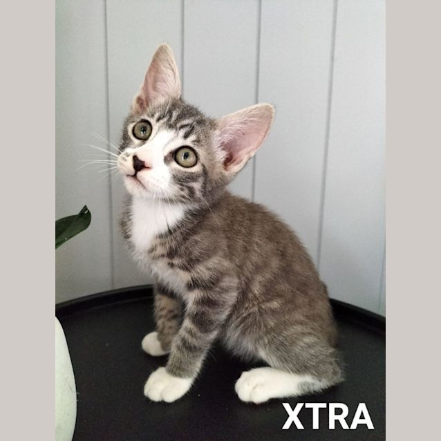 Photo of Xtra