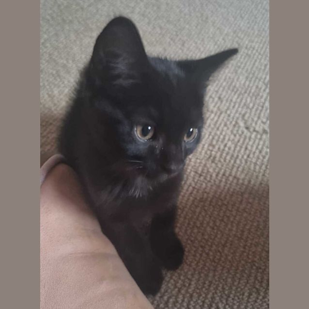 Photo of Wee John