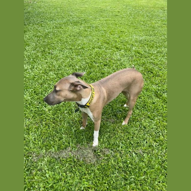 Photo of Zoe