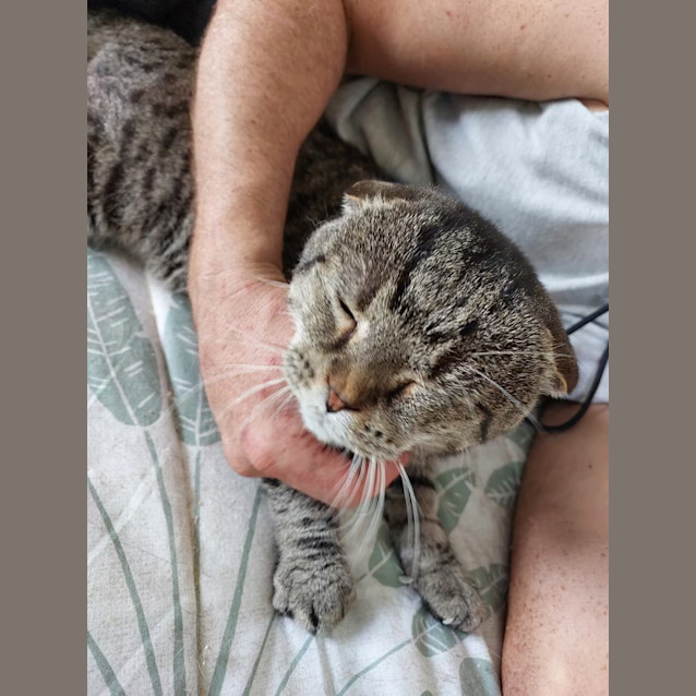 Photo of Hamish