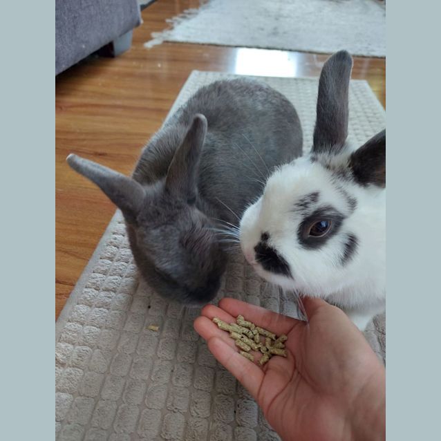 Photo of Portia And Raine