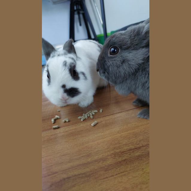 Photo of Portia And Raine