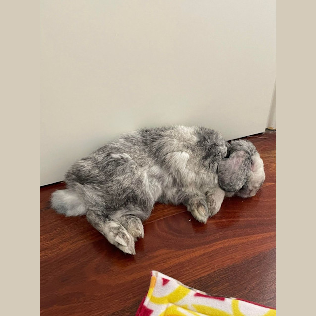 Photo of Storm