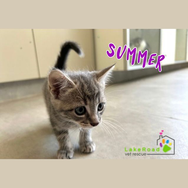 Photo of Summer